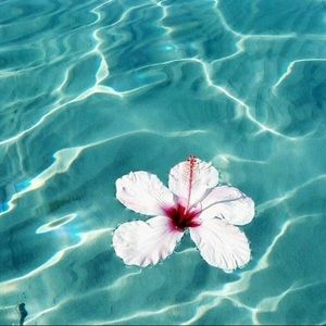 Meet your Posher, Bridgette